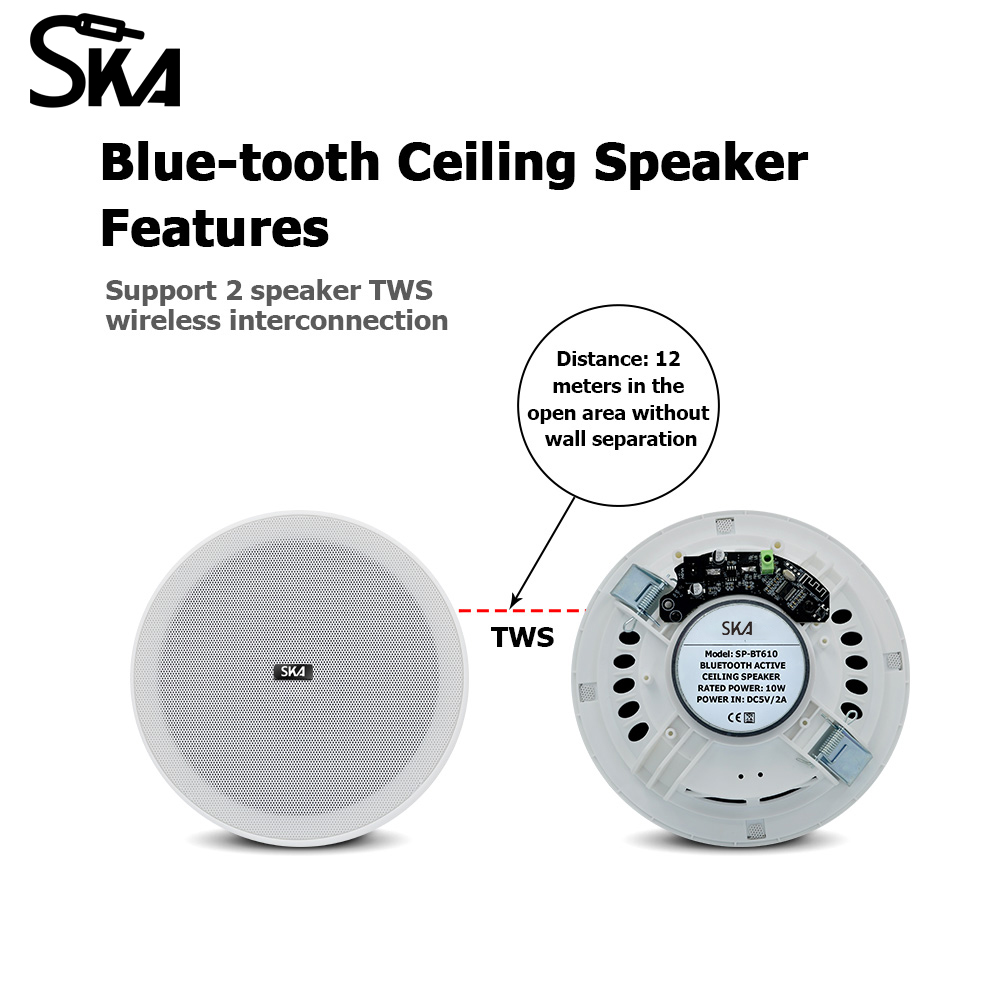 Decken-Bluetooth-Lautsprecher, – Home Cinema Speaker System Bewertung und Preis
