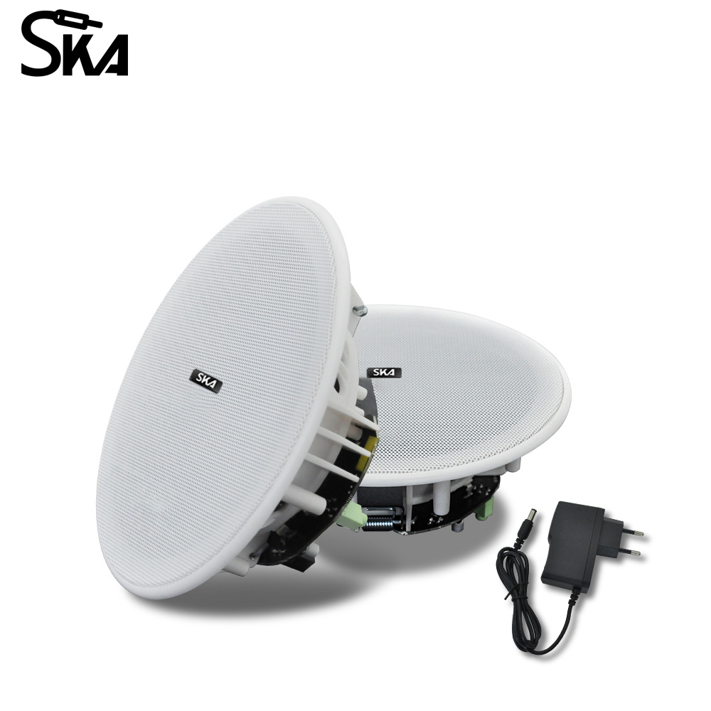 Decken-Bluetooth-Lautsprecher, – Home Cinema Speaker System Bewertung und Preis